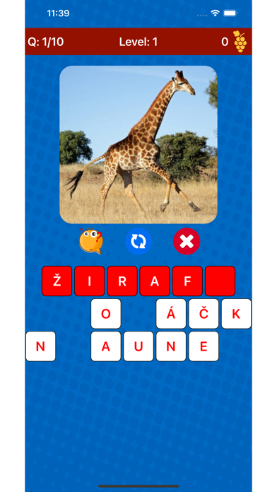 Learn Czech Vocabulary Screenshot
