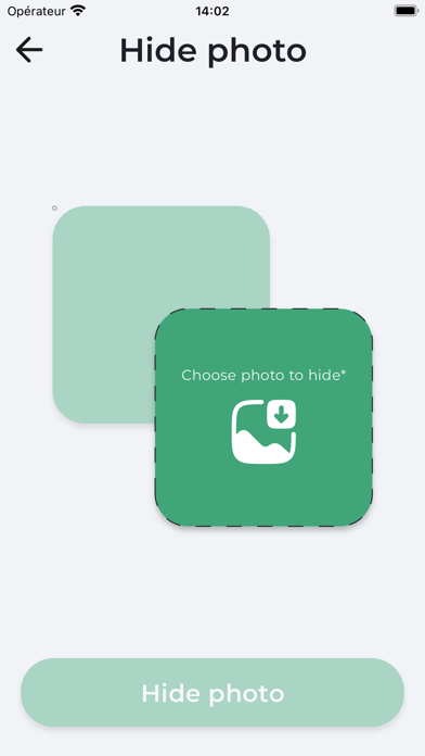 Chameleon: hide your secrets Screenshot