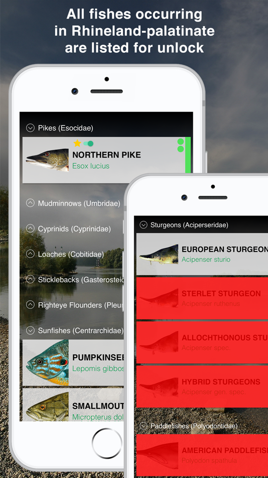 #2. Fishguide Rhineland-Palatinate (iOS) 由: Robin Schaefer