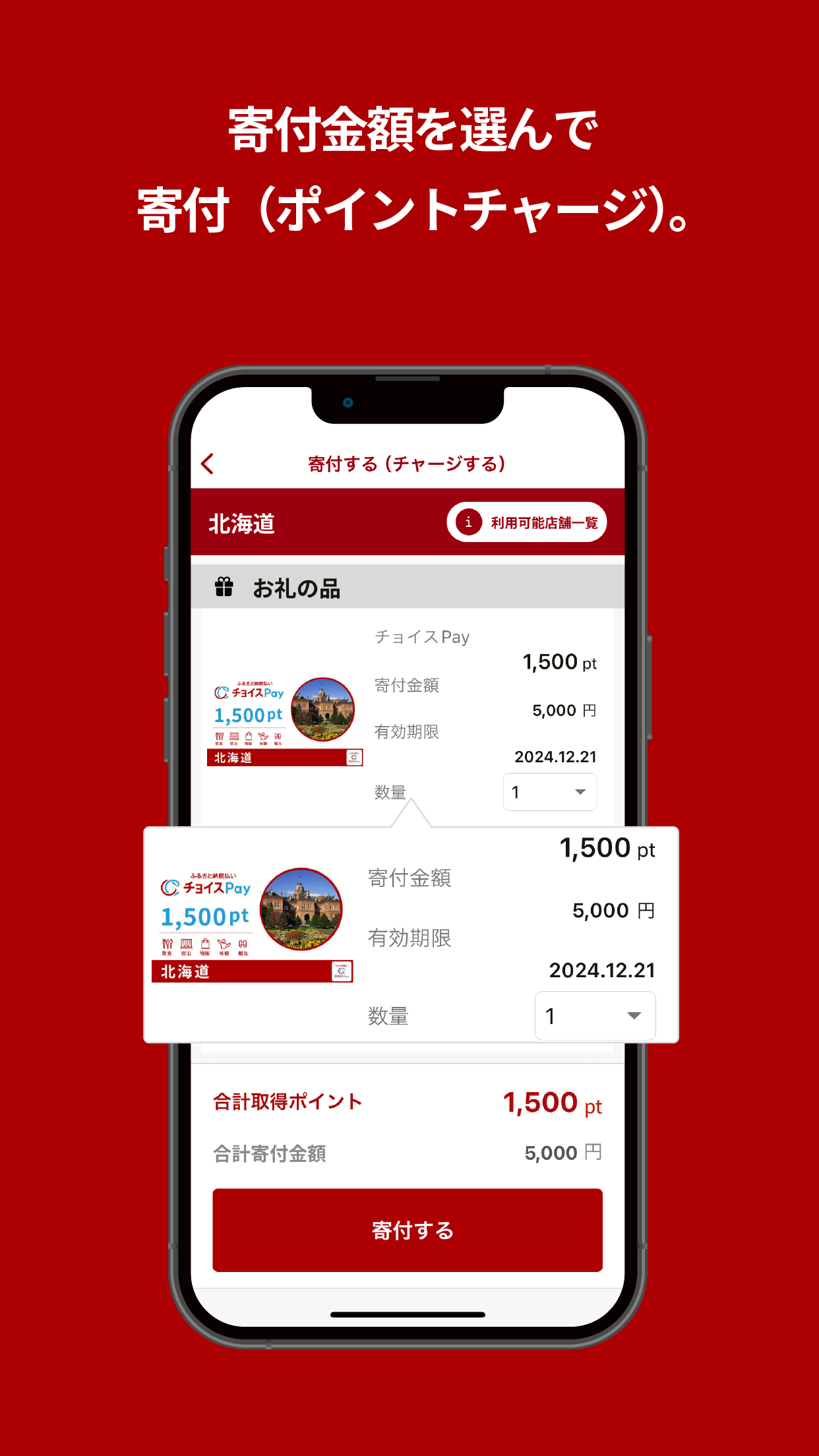 ふるさと納税払い チョイスPay