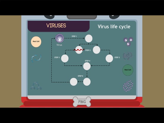 Viruses - Fredy's Lab