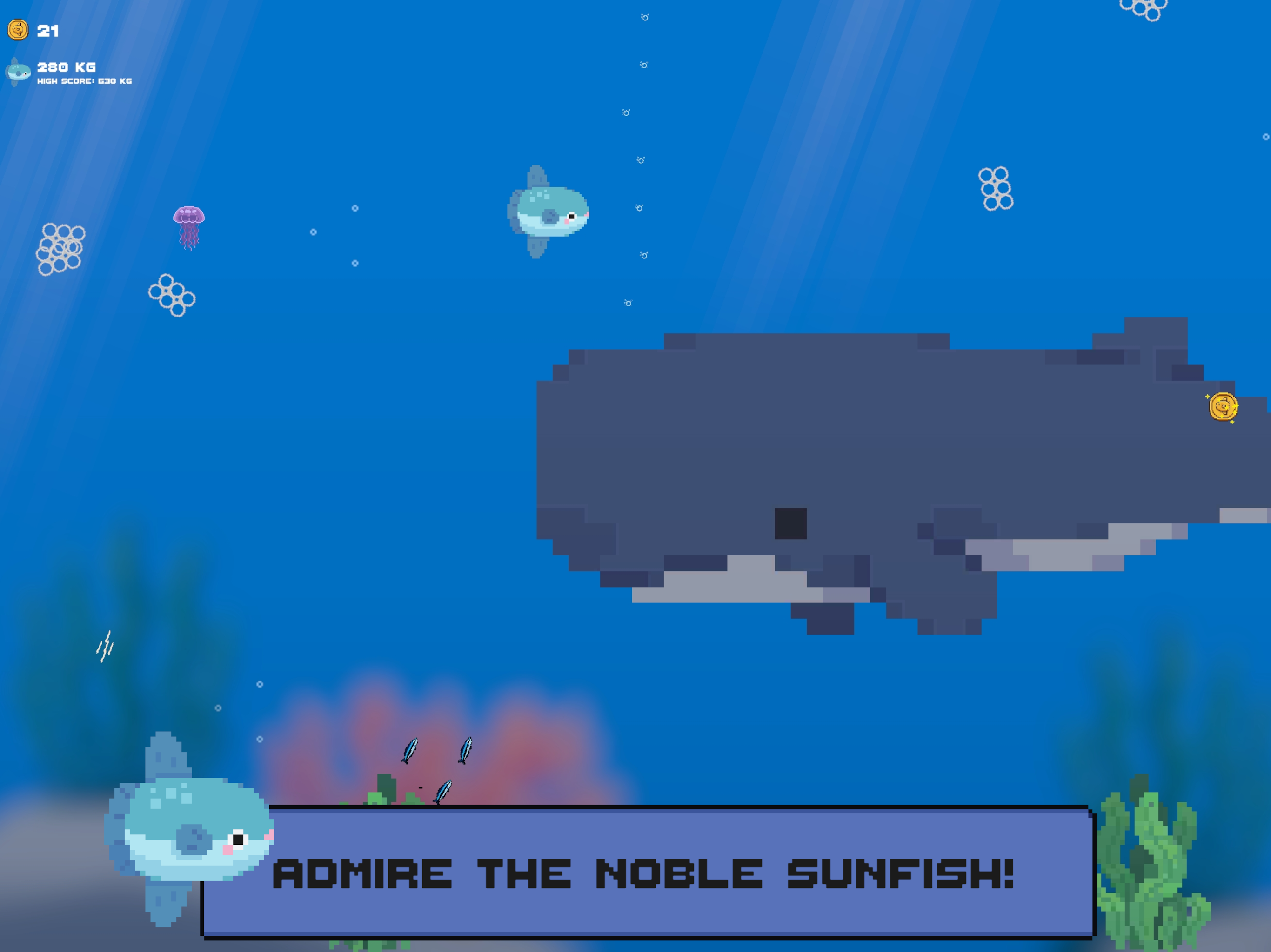 Sunfish Siesta screenshot 6