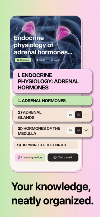 Synapse - Education Screenshot 3 of 8