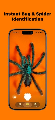 Bug Identifier: Spider & Pest Screenshot 1 of 4