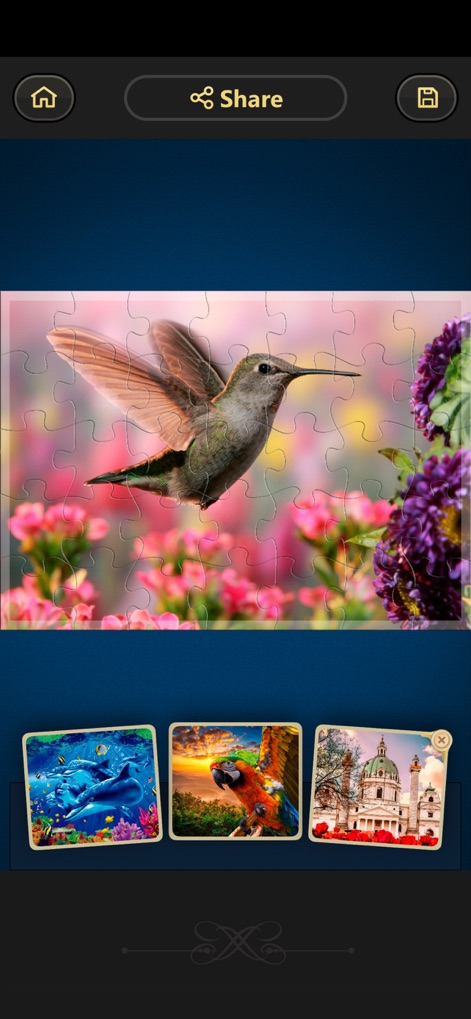 Magic Jigsaw Puzzles－Games HD - Os usuários podem apreciar a conclusão de quebra-cabeças, como a imagem detalhada de um beija-flor, e descobrir novas opções através das miniaturas de pré-visualização abaixo da imagem principal.