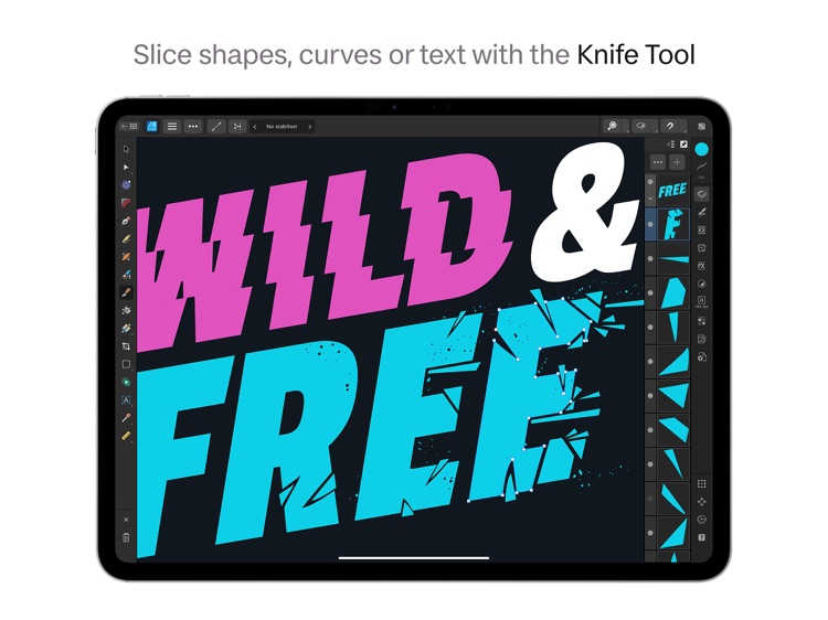 Affinity Designer 2 for iPad screenshot-3