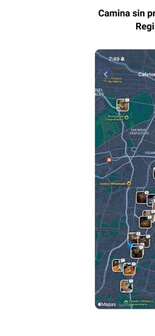 Flâneurr screenshot