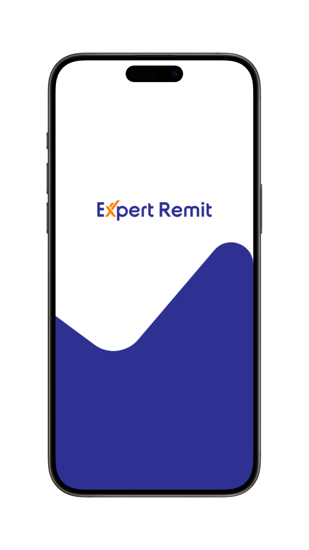 Expert Remit