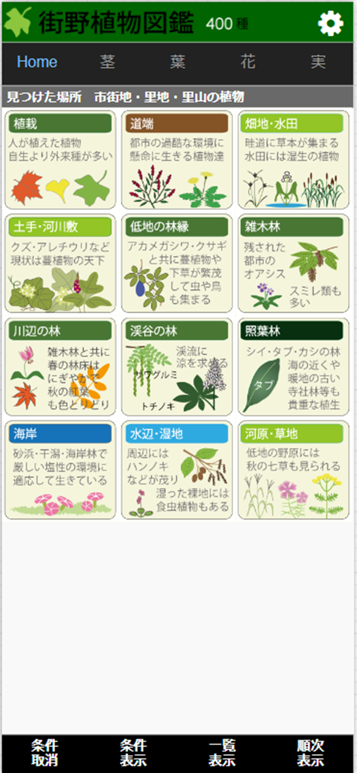 街野植物図鑑入門編 (jpflora300)