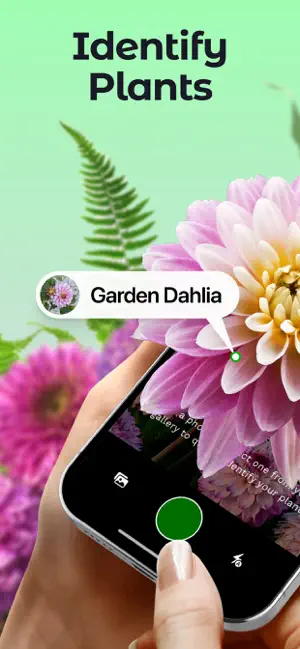 Plant Up: Identifier & Care screenshot 1