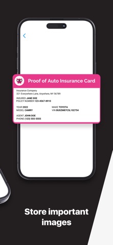 Vehicle Information Tracker screenshot