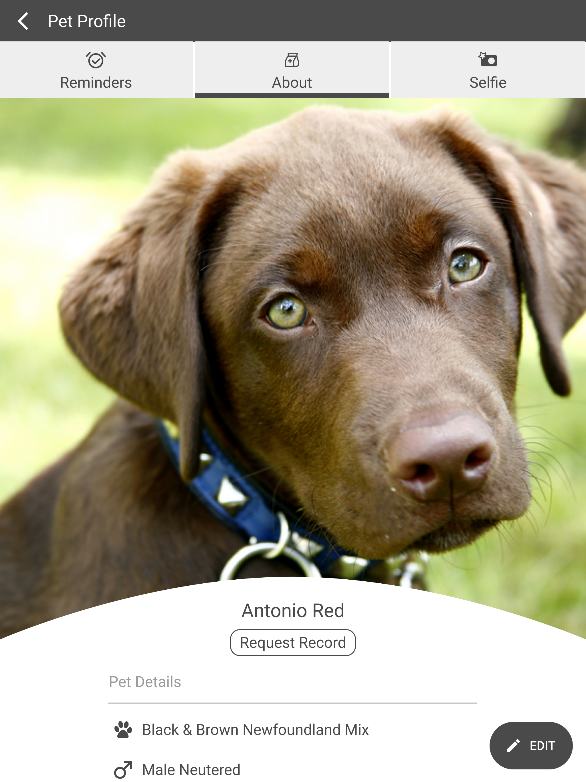 Cross Creek Animal Clinic screenshot 16