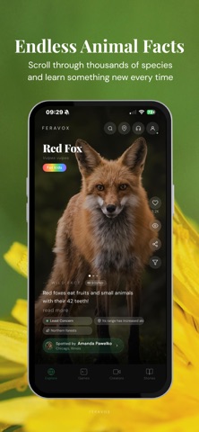 Feravox: Wildlife Discovery screenshot