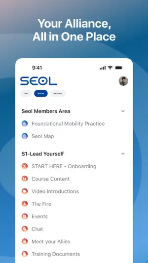 SEOL Alliance screenshot 2