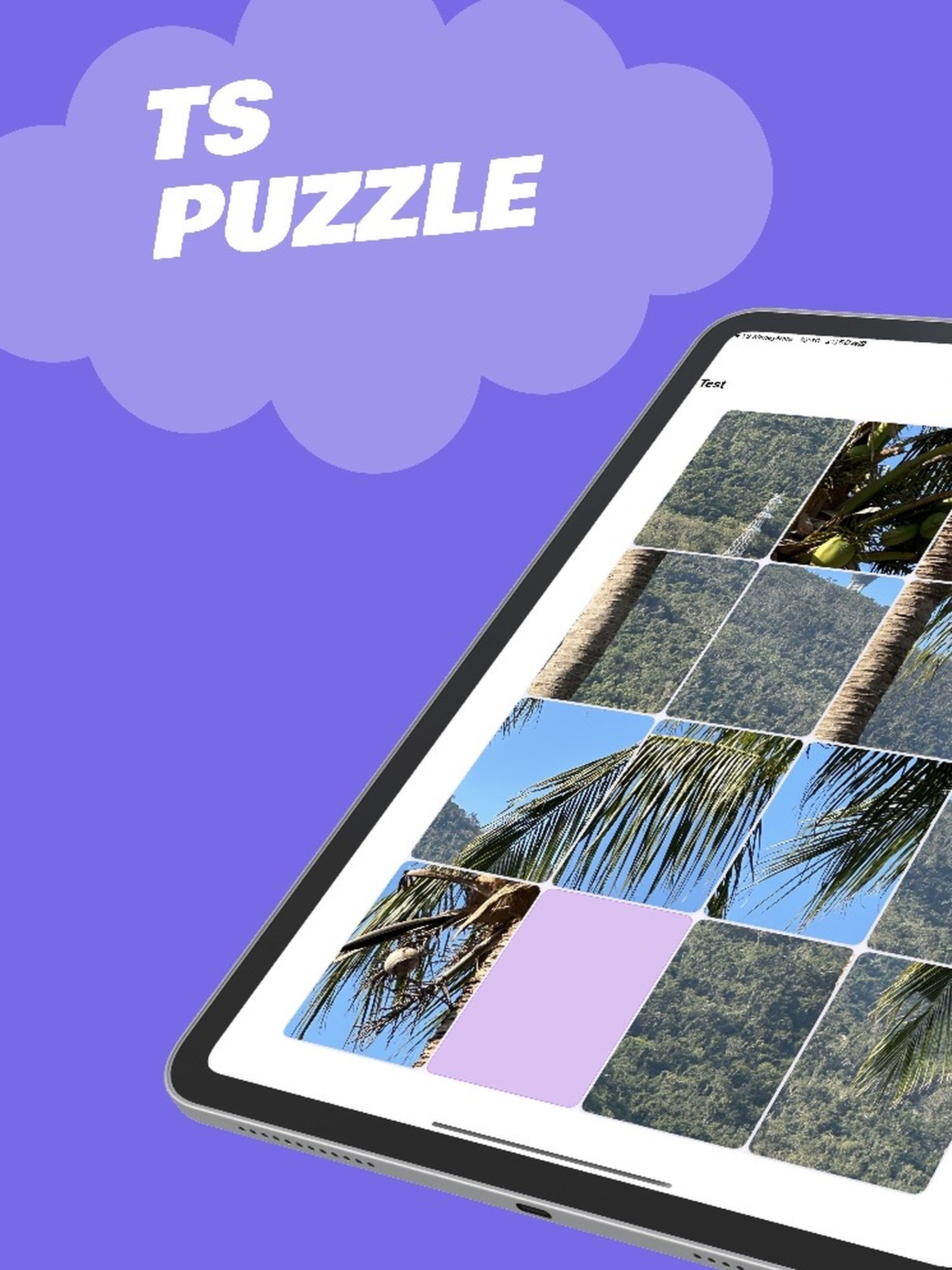 TS Puzzle:Grid Photo DIY