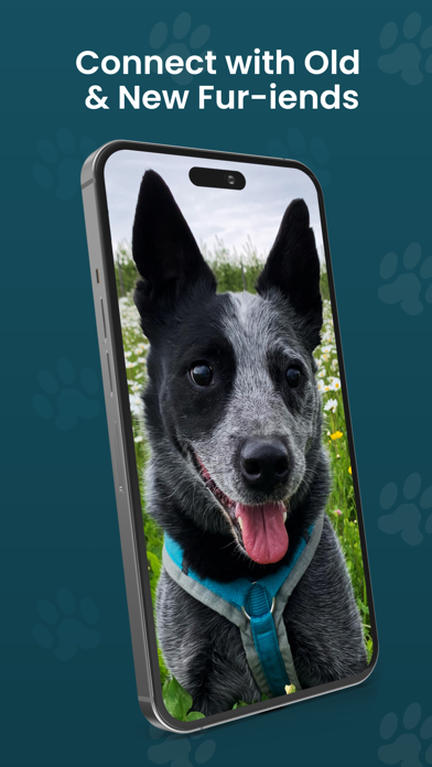 DOGLi - Dog Enrichment & Games Screenshot