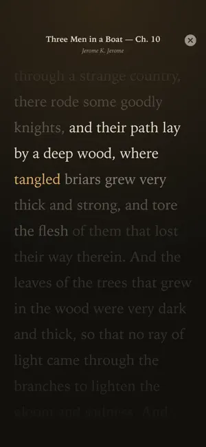 Scriptorium: Book Radio screenshot 4