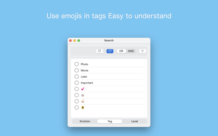 First diary, Theme Diary