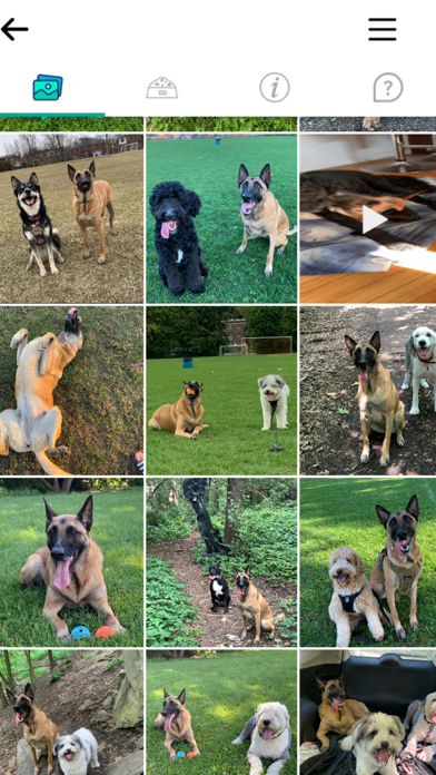 DogPack: Dog Parks & Services Screenshot