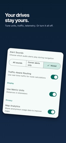 SmoothRide - Corner Speed Screenshot 7 of 7
