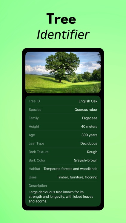 Tree Identifier AI: TreeIQ
