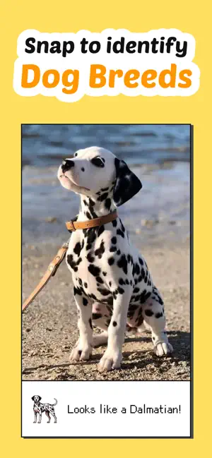 Dogmon - Dog Breed Identifier screenshot 1