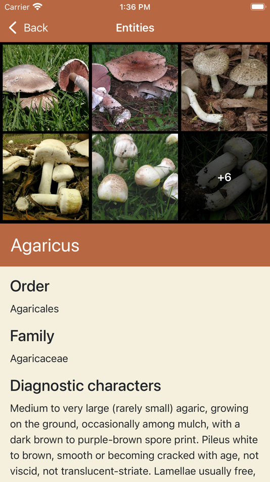 #5. FunKey: Agarics of Australia (iOS) 由: LucidMobile