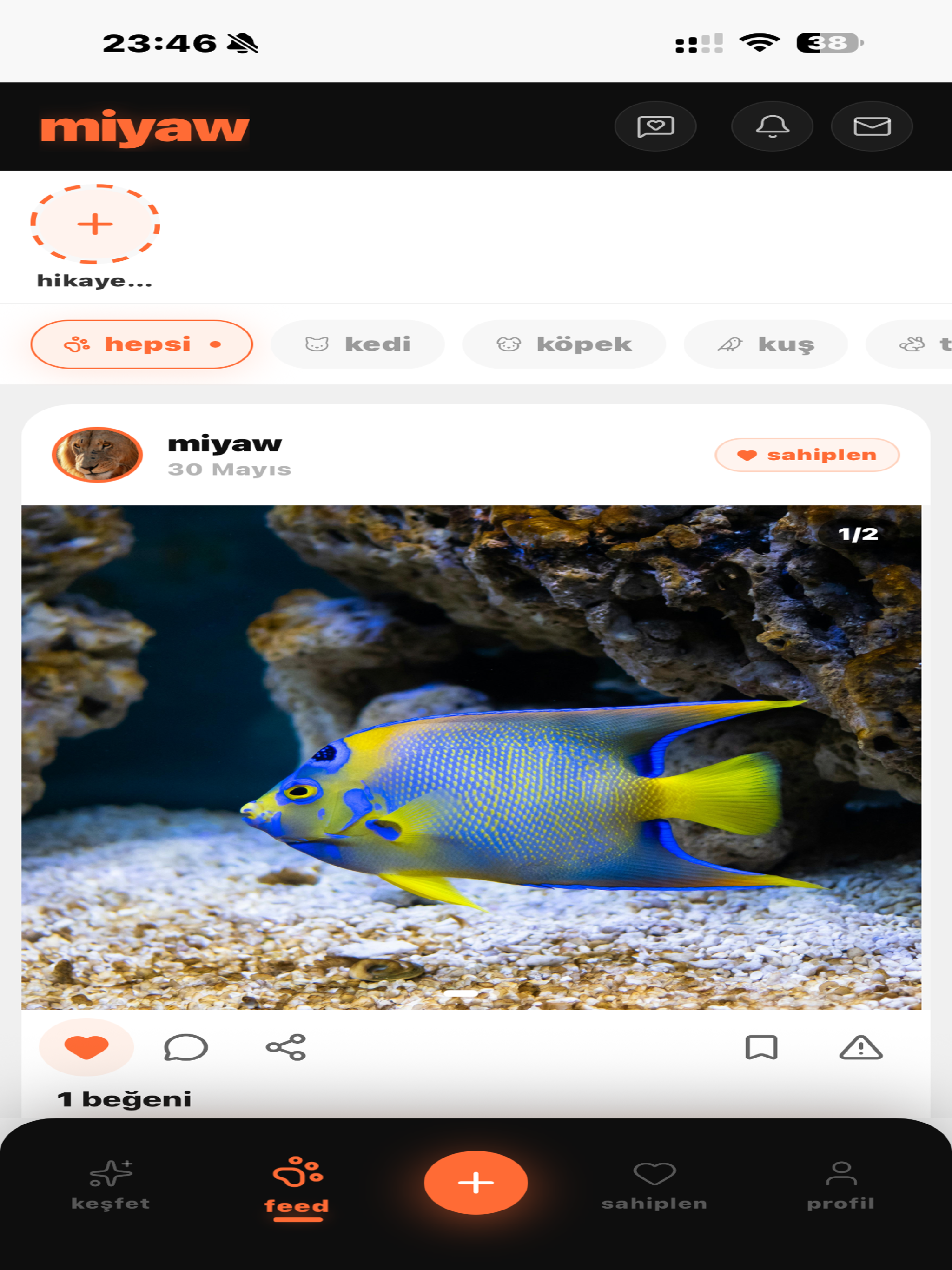Miyaw screenshot 6