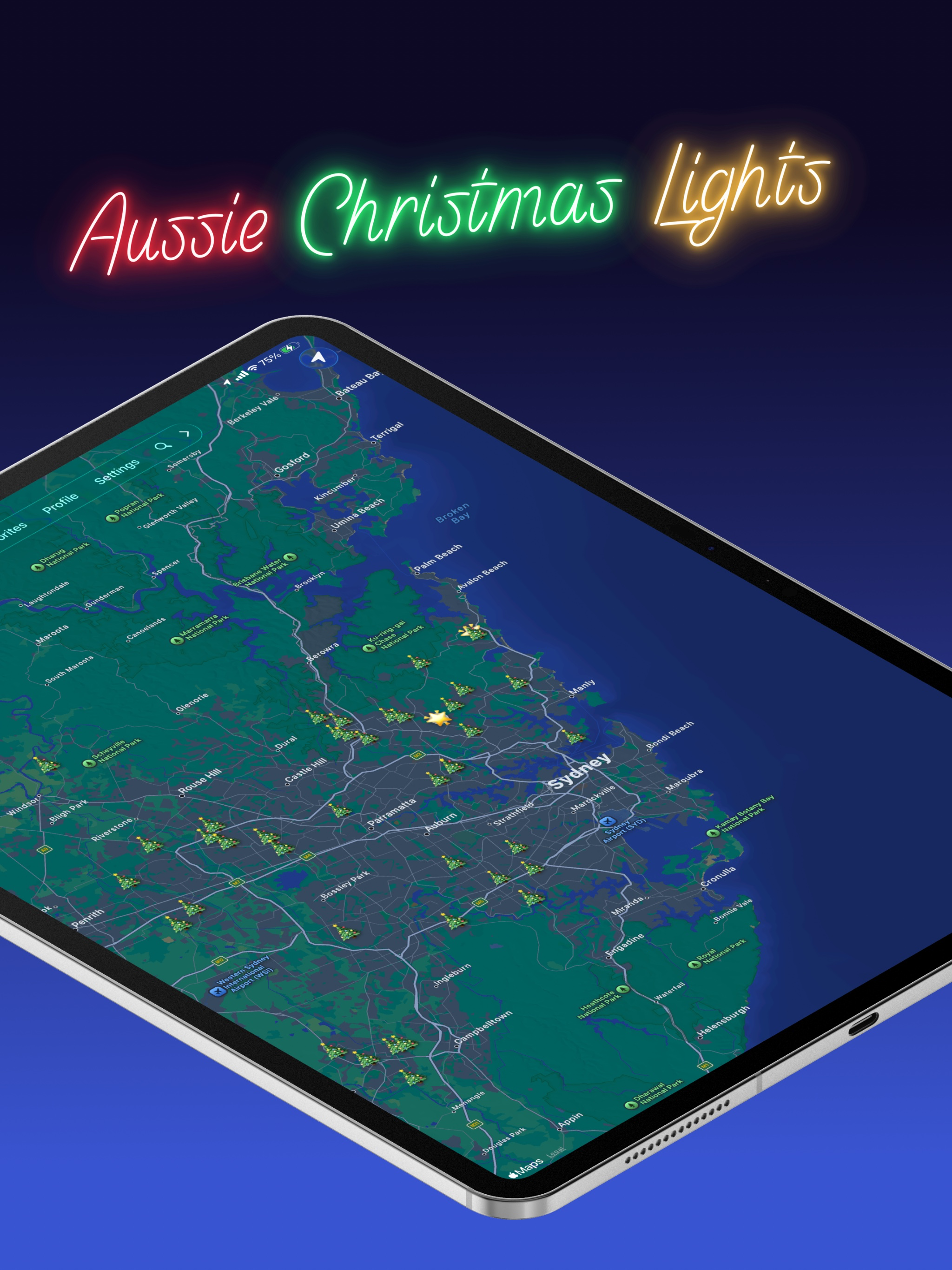 Aussie Christmas Lights screenshot 13