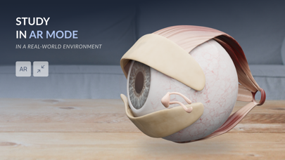 VOKA 3D Anatomy & Pathology Screenshot