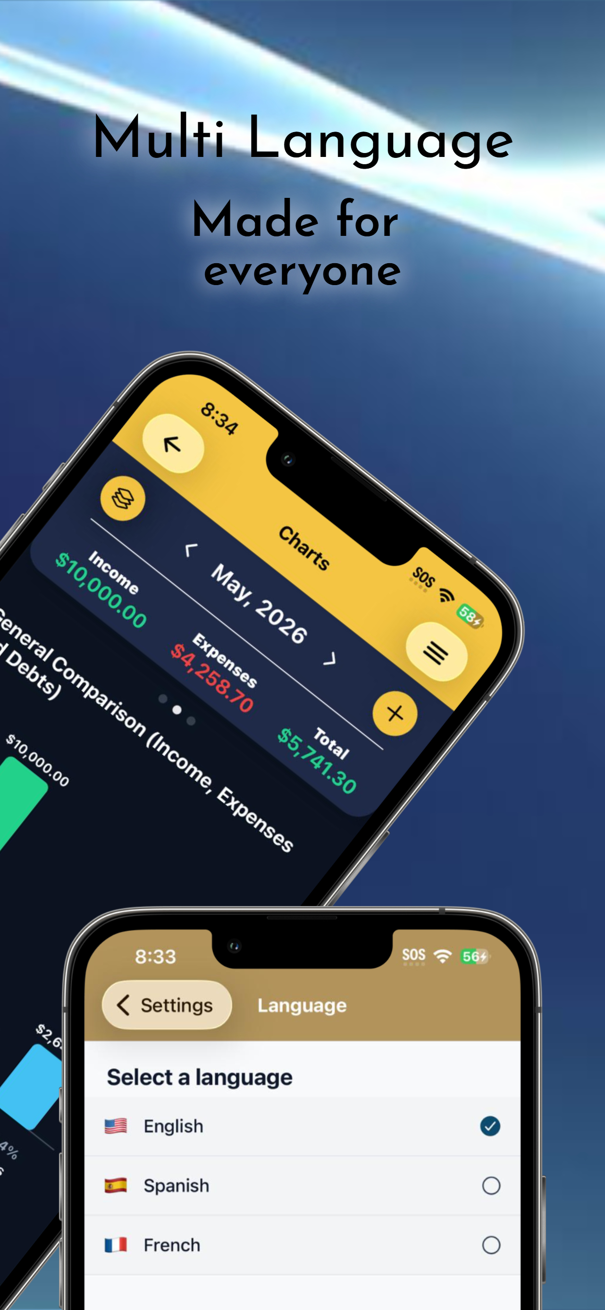 AleBudget screenshot 3