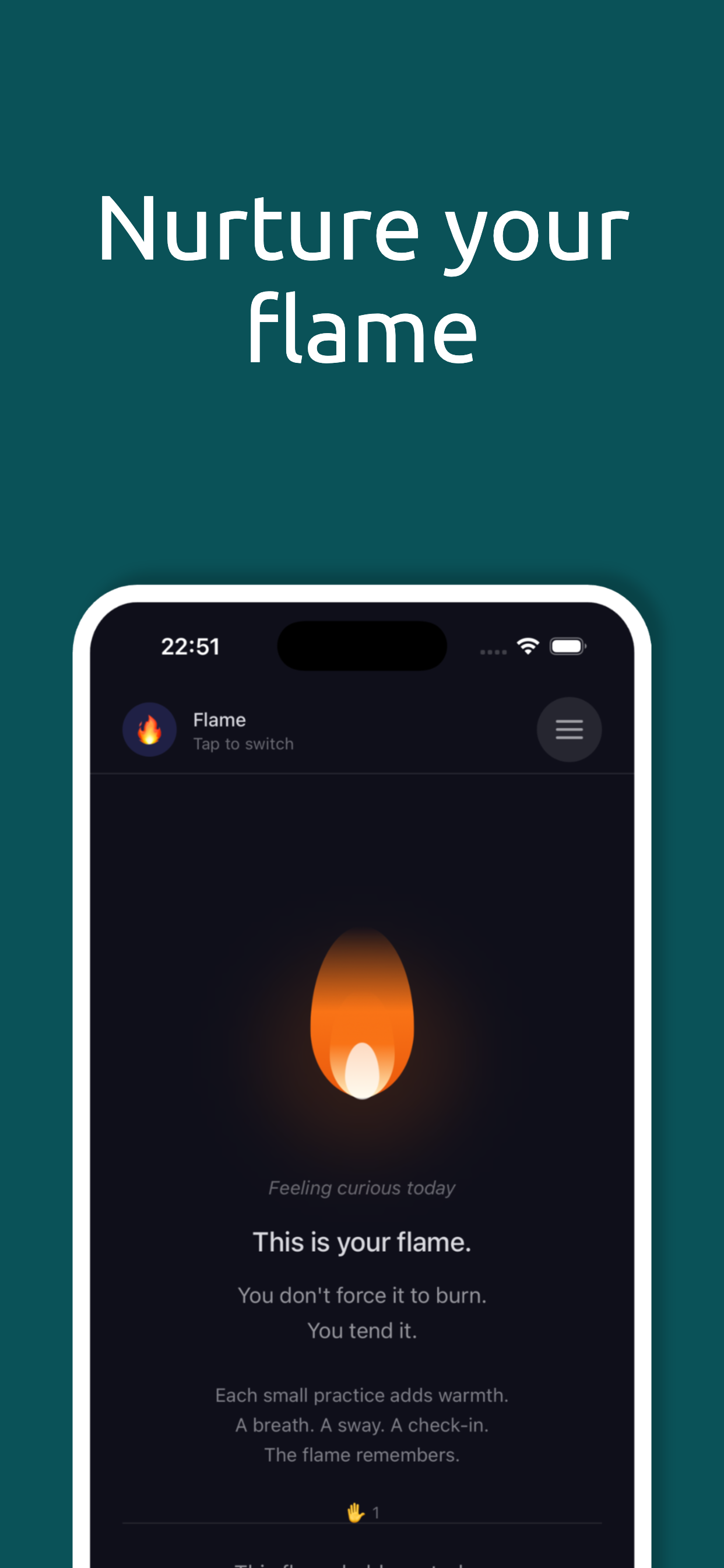 Regulator screenshot 6