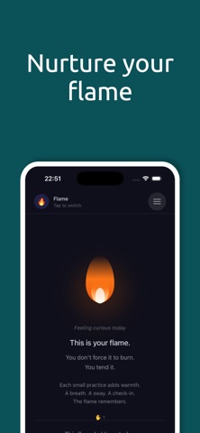 Regulator screenshot