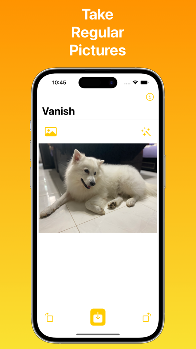 Vanish: Passport Photo Creator iPhone screenshot 1 - Photo & Video app