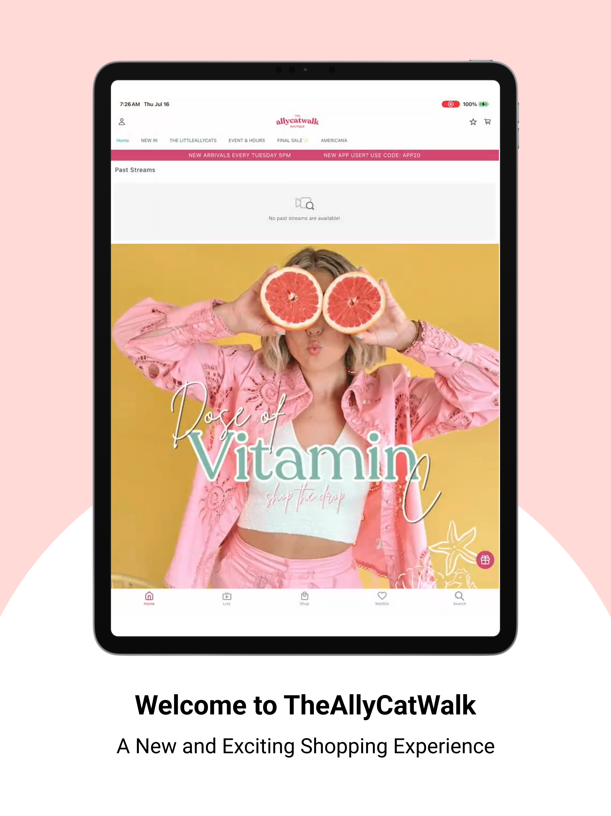 TheAllyCatWalk screenshot 6