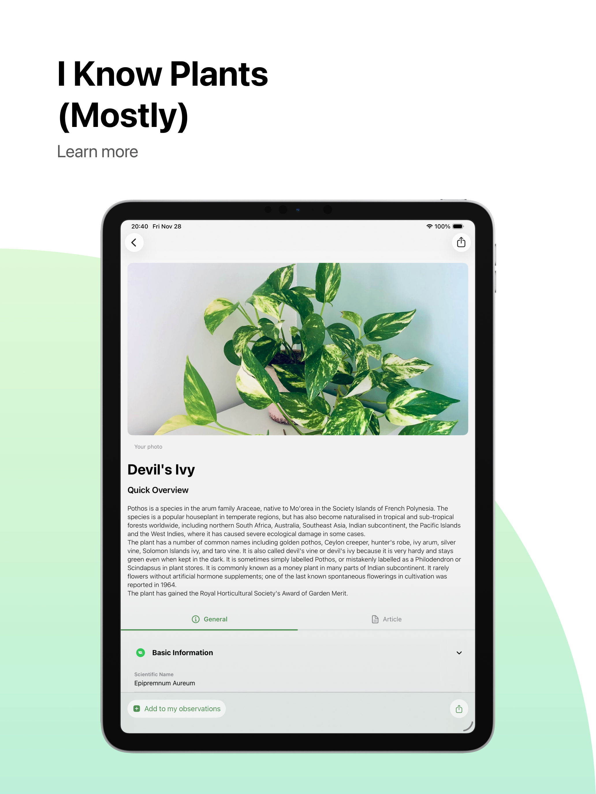 AI Plant Identifier & Scanner
