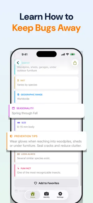 Bug Identifier: Spider & Pest screenshot 4