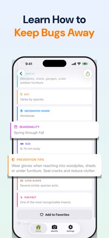 Bug Identifier: Spider & Pest Screenshot 4 of 6
