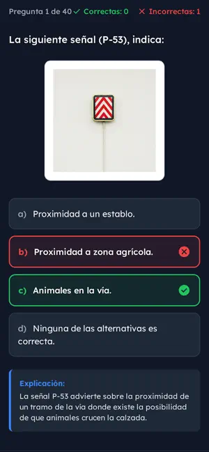 Examen de Reglas de Conducir screenshot 2