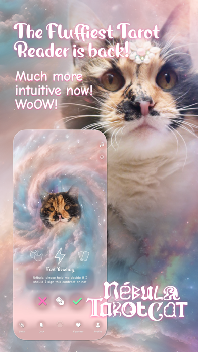Nébula Tarot Cat Screenshot