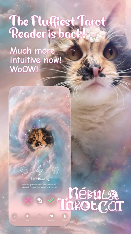 Nébula Tarot Cat