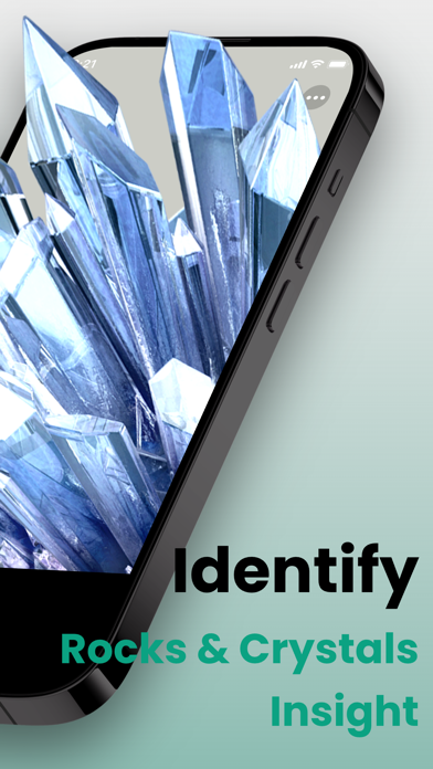 Picture & Ask: Pocket Expert Screenshot