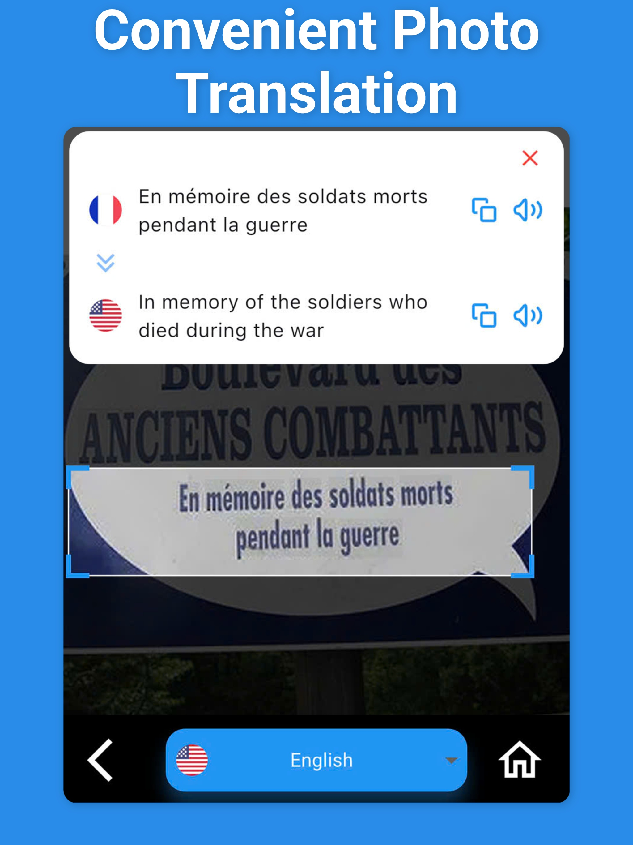 French Translator & More +