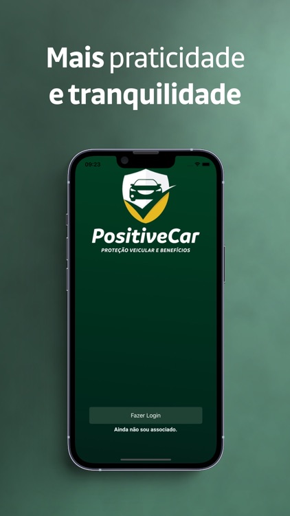 POSITIVE CAR screenshot-3