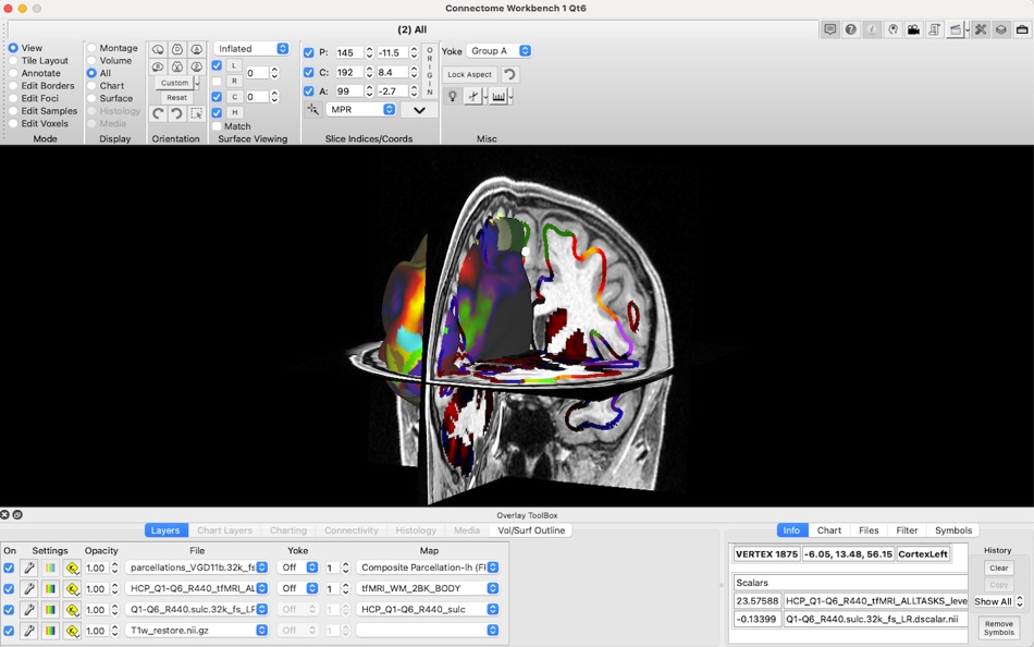 #5. ConnectomeWorkbench (macOS) 由: Washington University in St. Louis