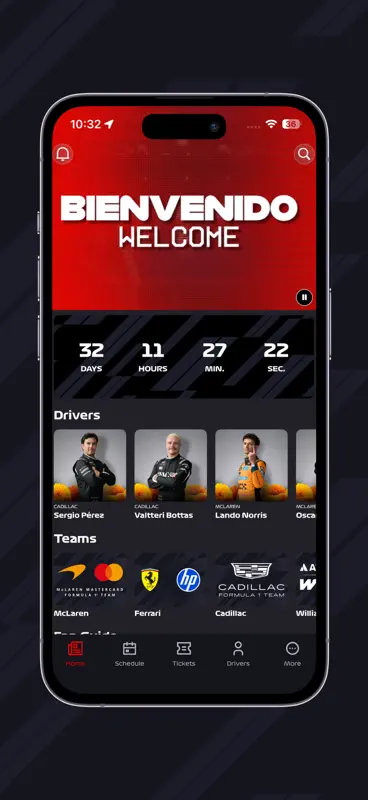 F1 MexicoGP screenshot 2 of 6