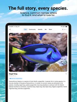iSea Fish ID screenshot 5