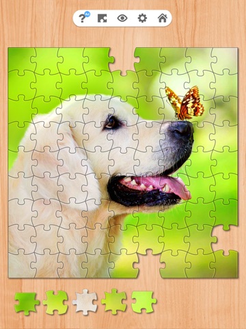 Wonderful Jigsaw - Puzzle Game iPad screenshot