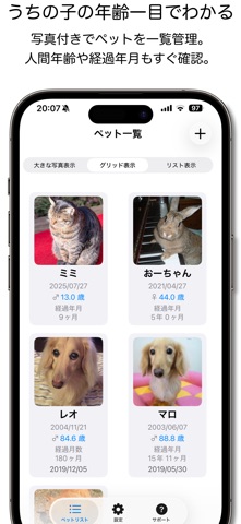 ペットいくつ？ のスクリーンショット
