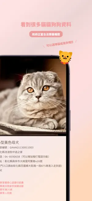 寵物領養紀錄 : 2026製Dcard寵物版鄉民角度開發 screenshot 4